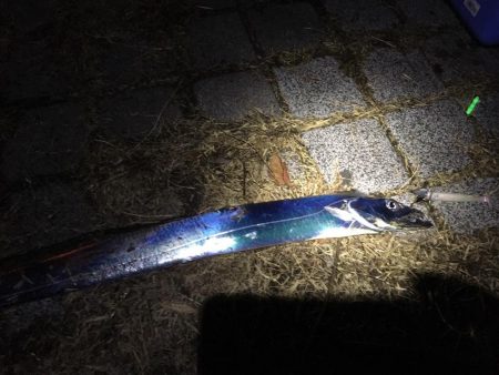 青物不発からのドラゴンゲット！