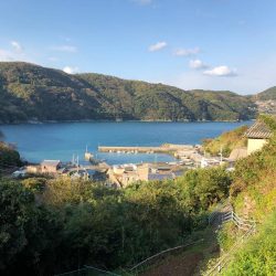 佐田岬遠征1日目