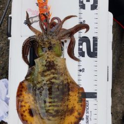 期待はしてなかったが！