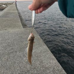 短時間ジギング