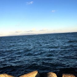 ルアーでヒラメ