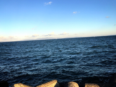 ルアーでヒラメ