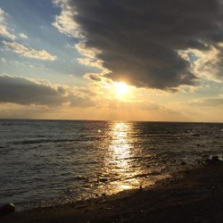 渋い…御坊エギング