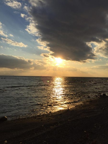 渋い…御坊エギング