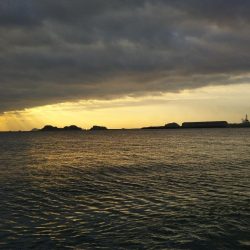 阿南市の那賀川河口でタチウオ