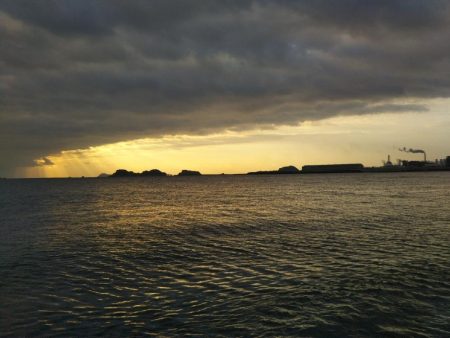 阿南市の那賀川河口でタチウオ