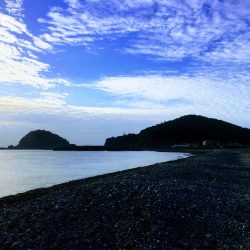 大里松原海岸 アオリイカ2 メジカ1