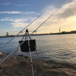 初場所にてカレイ、キス狙い(^ ^)