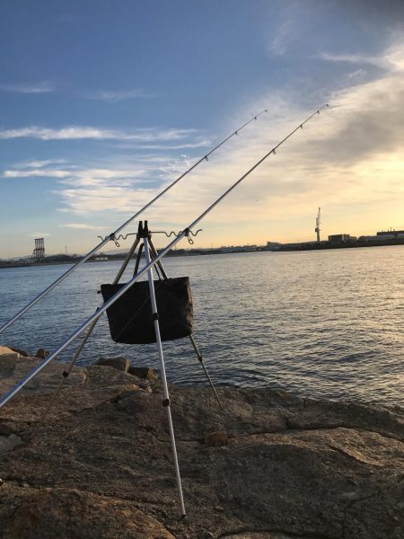 初場所にてカレイ、キス狙い(^ ^)