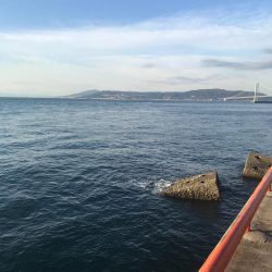 なんとか釣れました(^^)