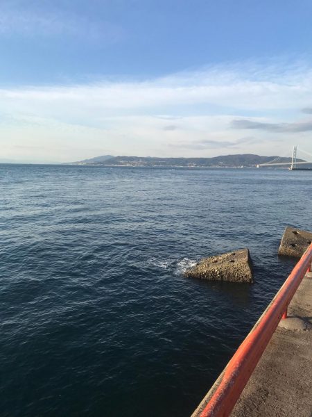 なんとか釣れました(^^)