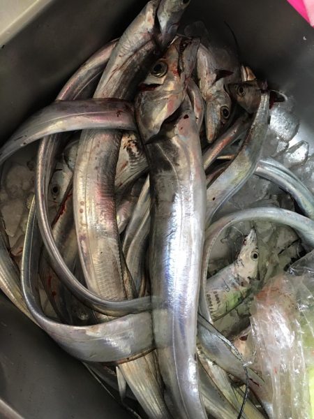 初のオフショア