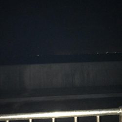 デカ鯵回遊中！