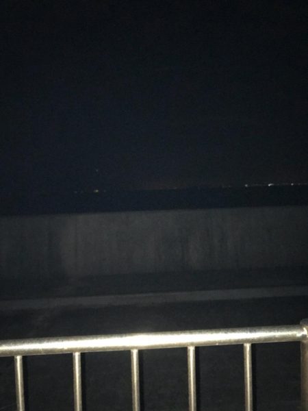 デカ鯵回遊中！