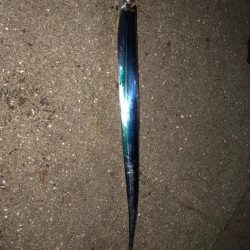 タッチーチャレンジ(^^)