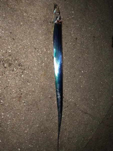 タッチーチャレンジ(^^)