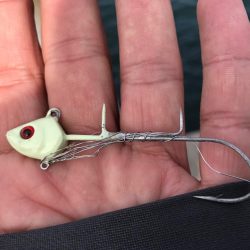 ハマチクランク?