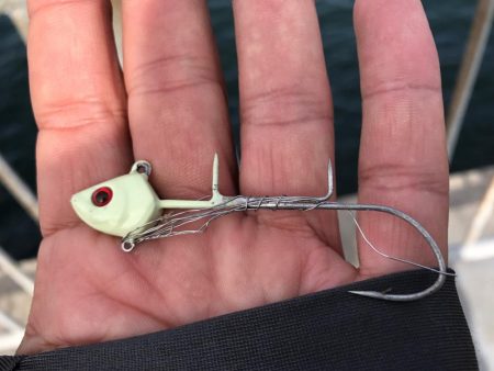 ハマチクランク?