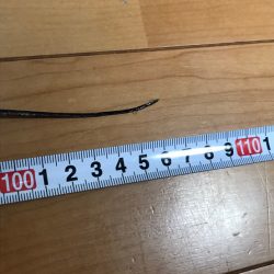 激シブの中値千金！