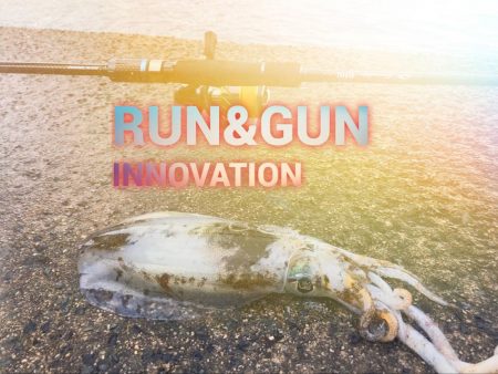 舞鶴から伊根までのランガンエギング