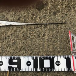 やったりましたドラゴン3匹!