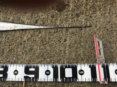 やったりましたドラゴン3匹!