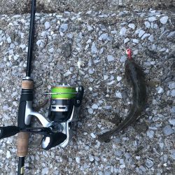 ワームでハゼ釣り