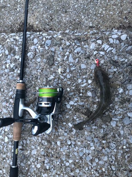 ワームでハゼ釣り