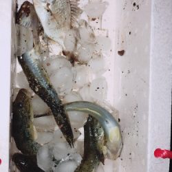 キスは一体何処へ？