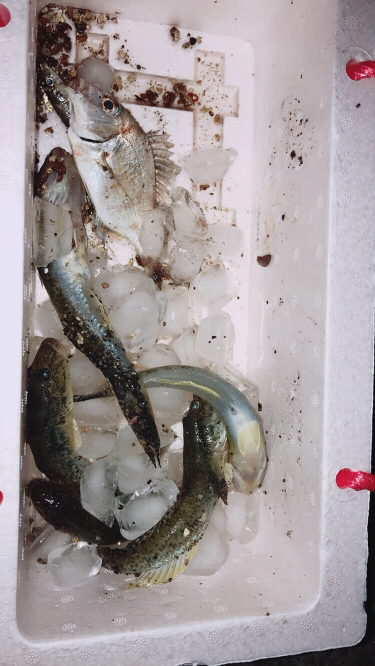 キスは一体何処へ？