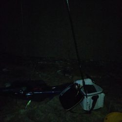 ボウズ逃れの1本