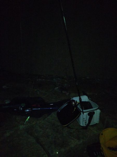 ボウズ逃れの1本