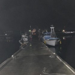 楽しいアジング！