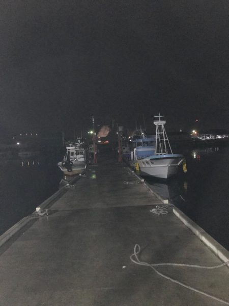 楽しいアジング！