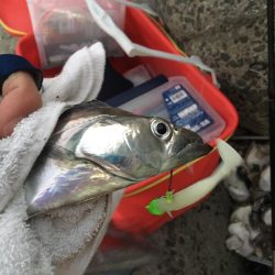 青岸でスローワインド