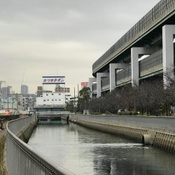 小潮〜＿ﾉ乙(､ﾝ､)_