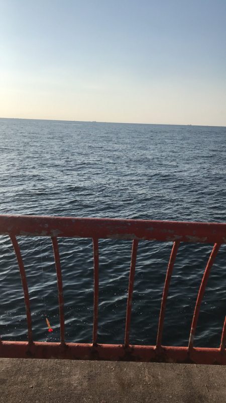 今日はチャリコのみ(;_;)