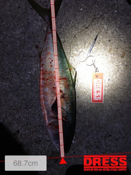 アジングのち青物