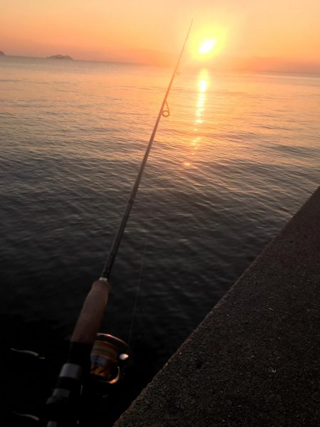 メバルねらいですが！