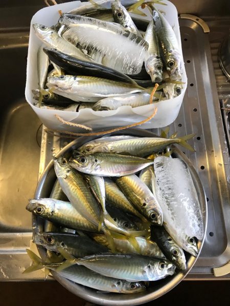 ショアジギング、難しい。。。