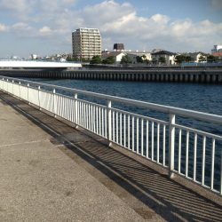 アジで太刀魚・青物狙い!!