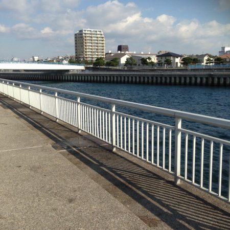 アジで太刀魚・青物狙い!!