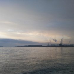 阿南市の那賀川河口でタチウオ