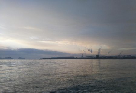 阿南市の那賀川河口でタチウオ