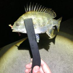 五目ライトゲーム