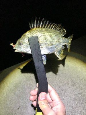 五目ライトゲーム