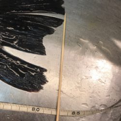 ランカー出た!!わーい