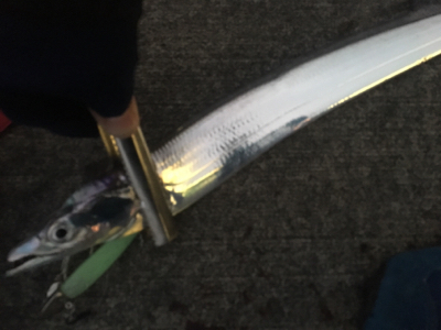 イケア裏でワインド