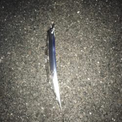 本気でやればもっと…