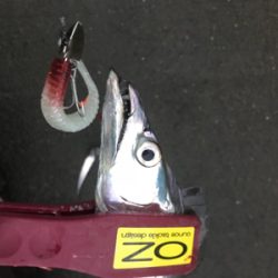 何にでも反応が良かった。